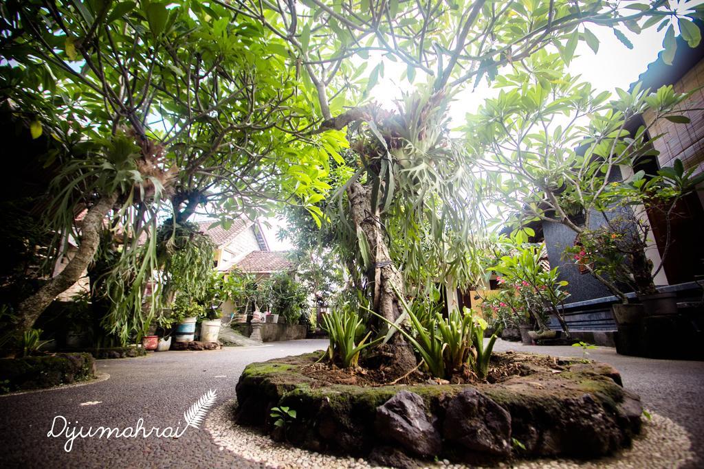 Dijumahrai Homestay Ubud Dış mekan fotoğraf